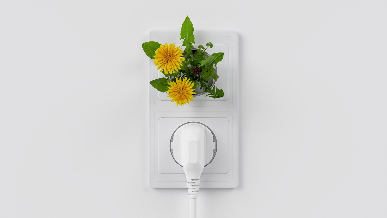 Sustainable Home Improvements that are Worth the Investment